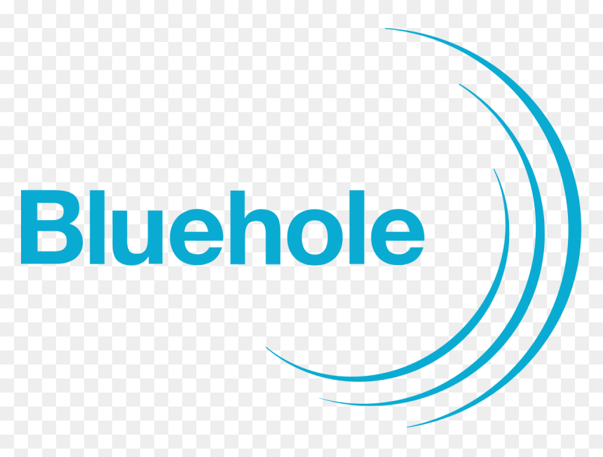 Producent: Bluehole Studio (przejdź do produktów)
